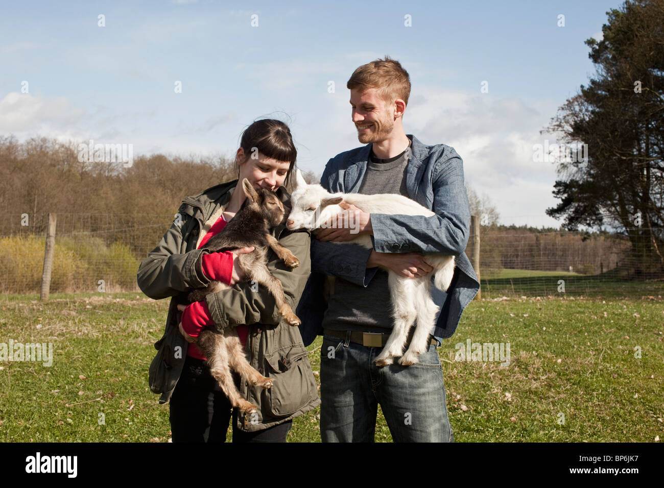 Ein paar junge Ziegen halten Stockfoto