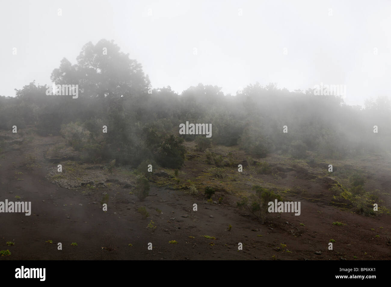 Ansicht einer nebligen Landschaft Stockfoto