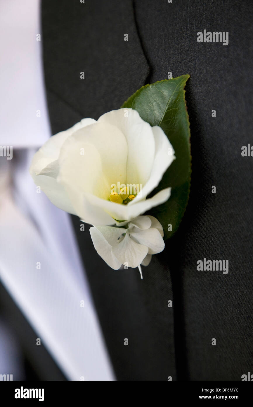 Detail der eine weiße Blume Boutonniere auf eine Jacke Revers Stockfoto