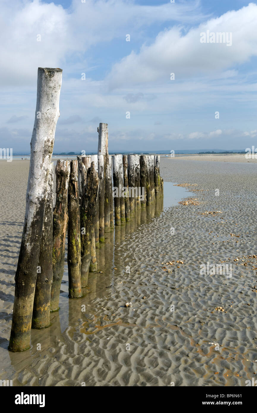 Strand im Osten Kopf, West Wittering, Sussex, England Stockfoto