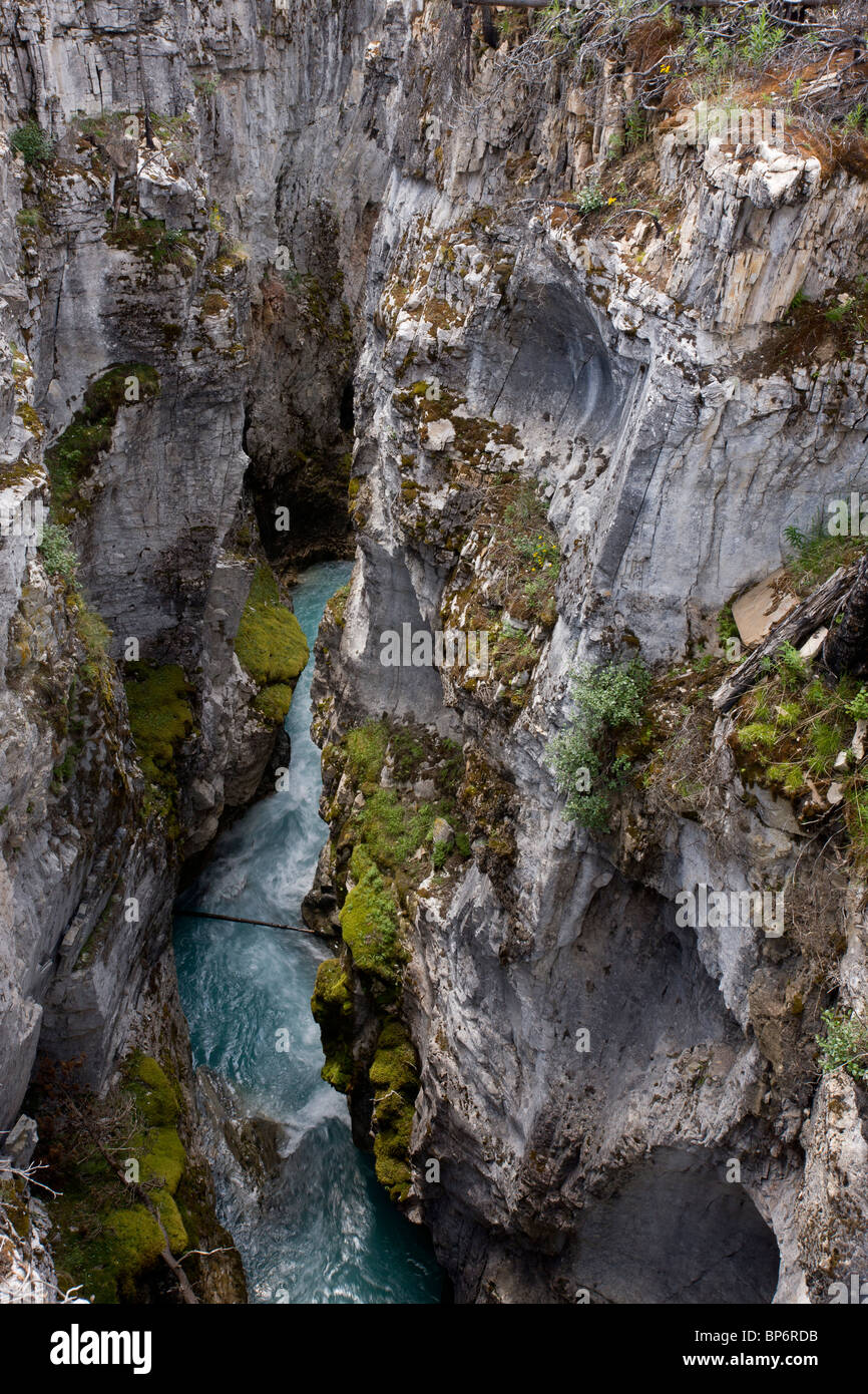 Marble Canyon, Glazial-Schmelzwasser Kanal in Kootenay National Park, Rocky Mountains, Kanada Stockfoto