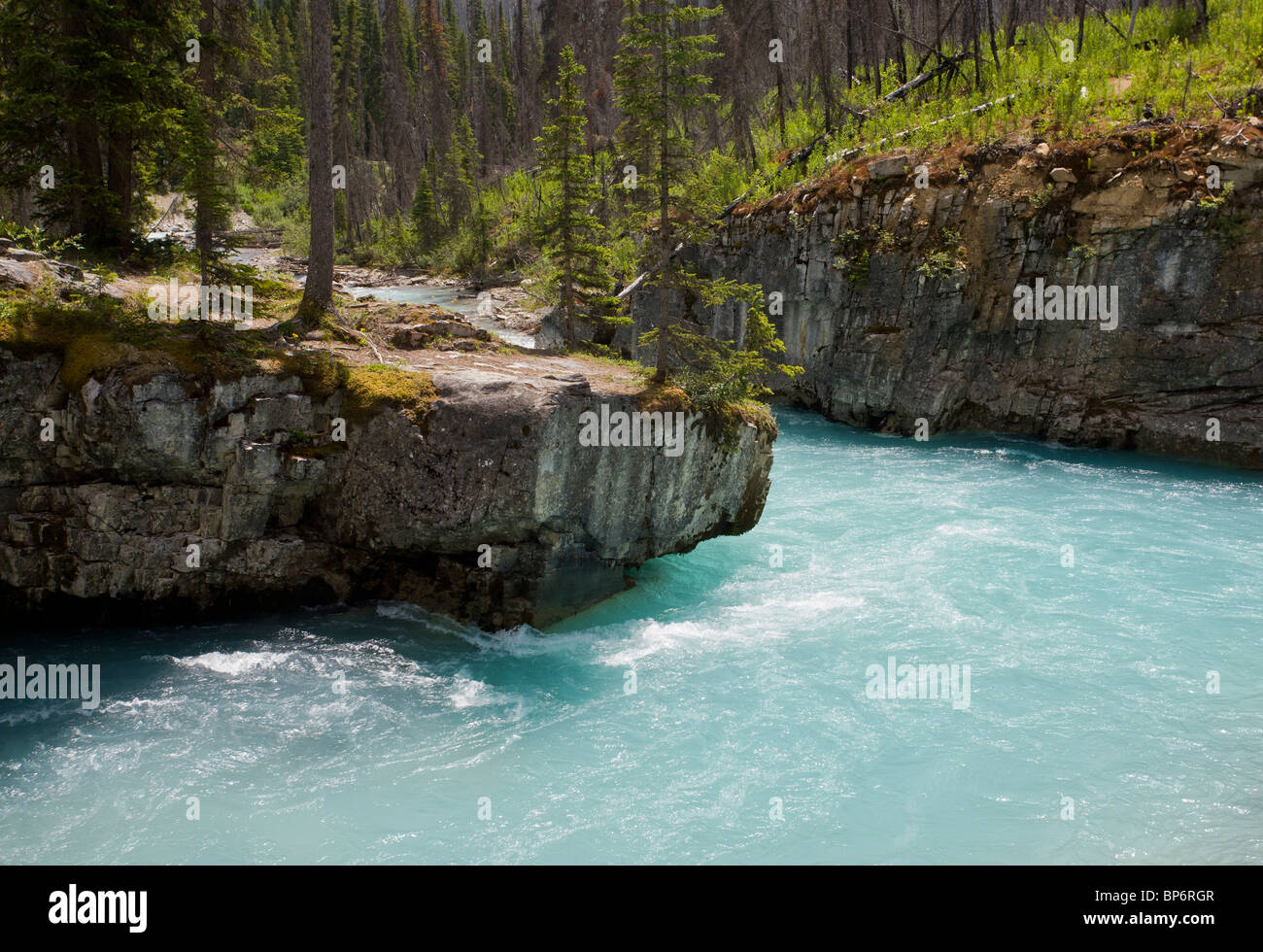 Marble Canyon, Glazial-Schmelzwasser Kanal in Kootenay National Park, Rocky Mountains, Kanada Stockfoto