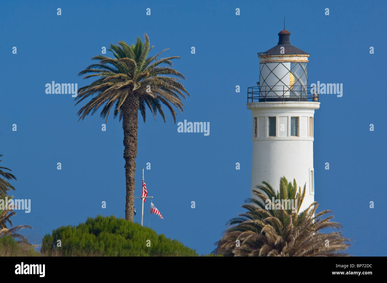 Vicente Leuchtturm und palm Tree, Point Vicente, Halbinsel Palos Verdes, Kalifornien Stockfoto