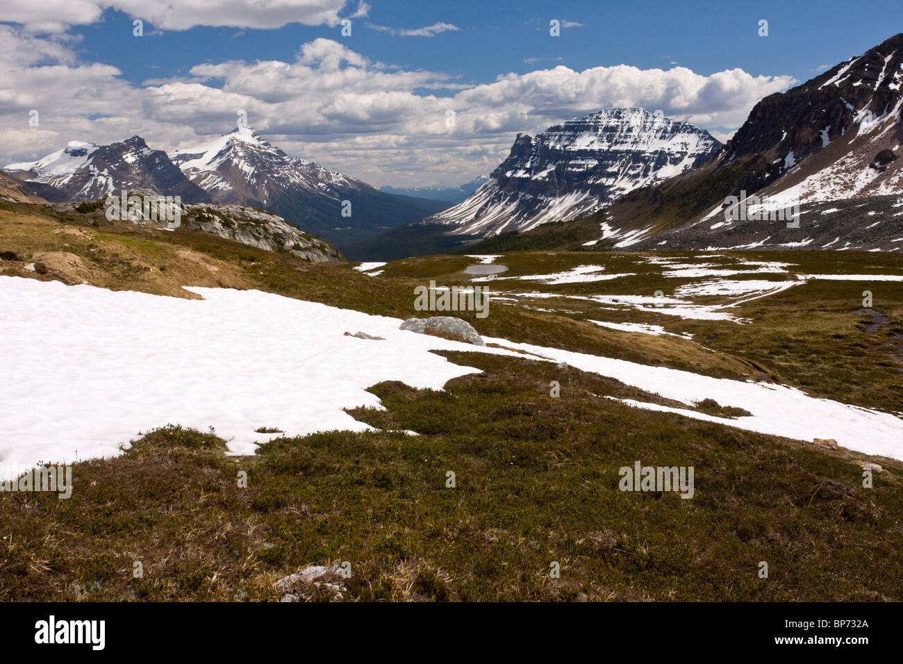 Hohen Tundra unter Helen See im Banff-Nationalpark, Rocky Mountains, Kanada Stockfoto