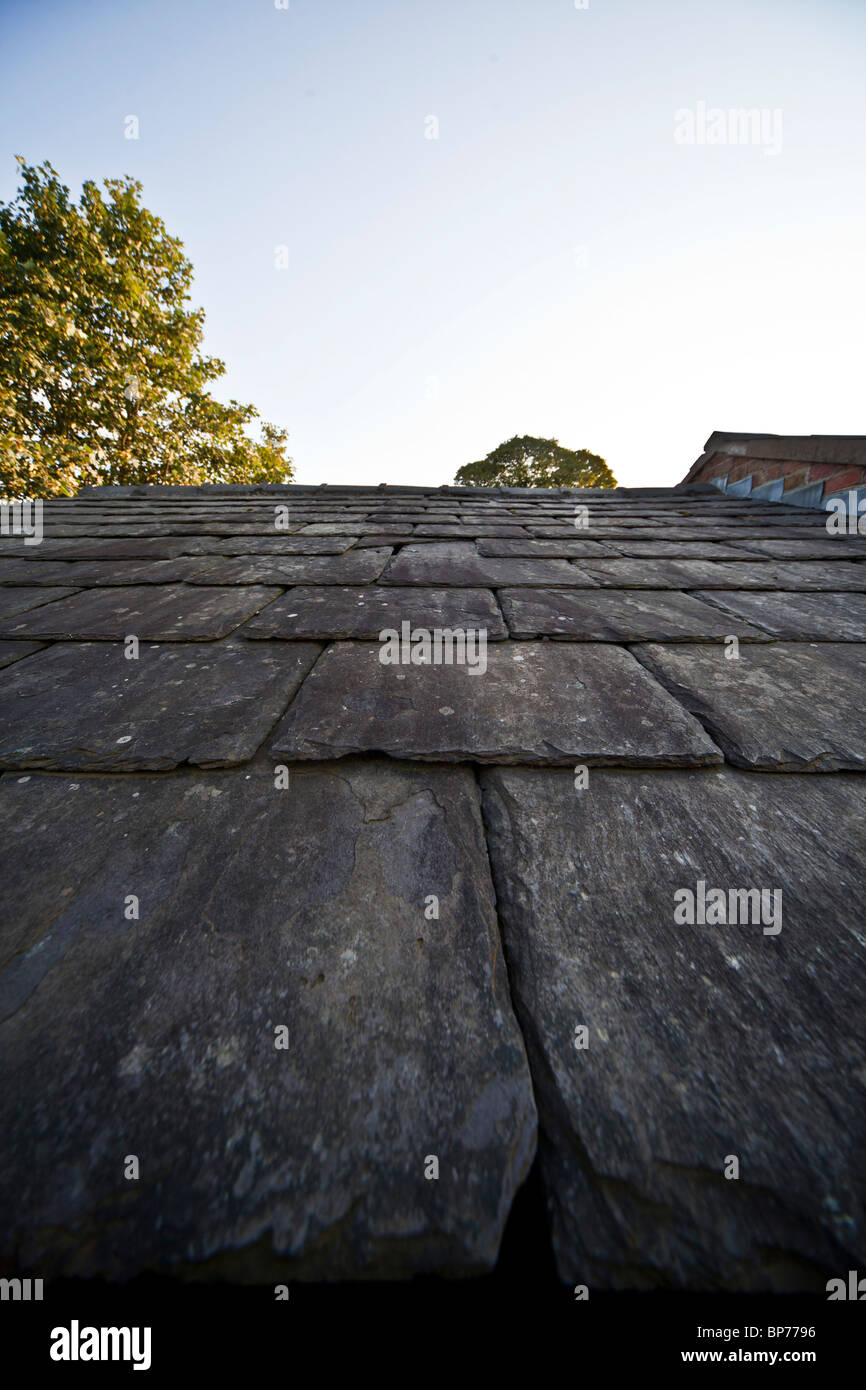 Schiefer Dachziegel Stockfoto