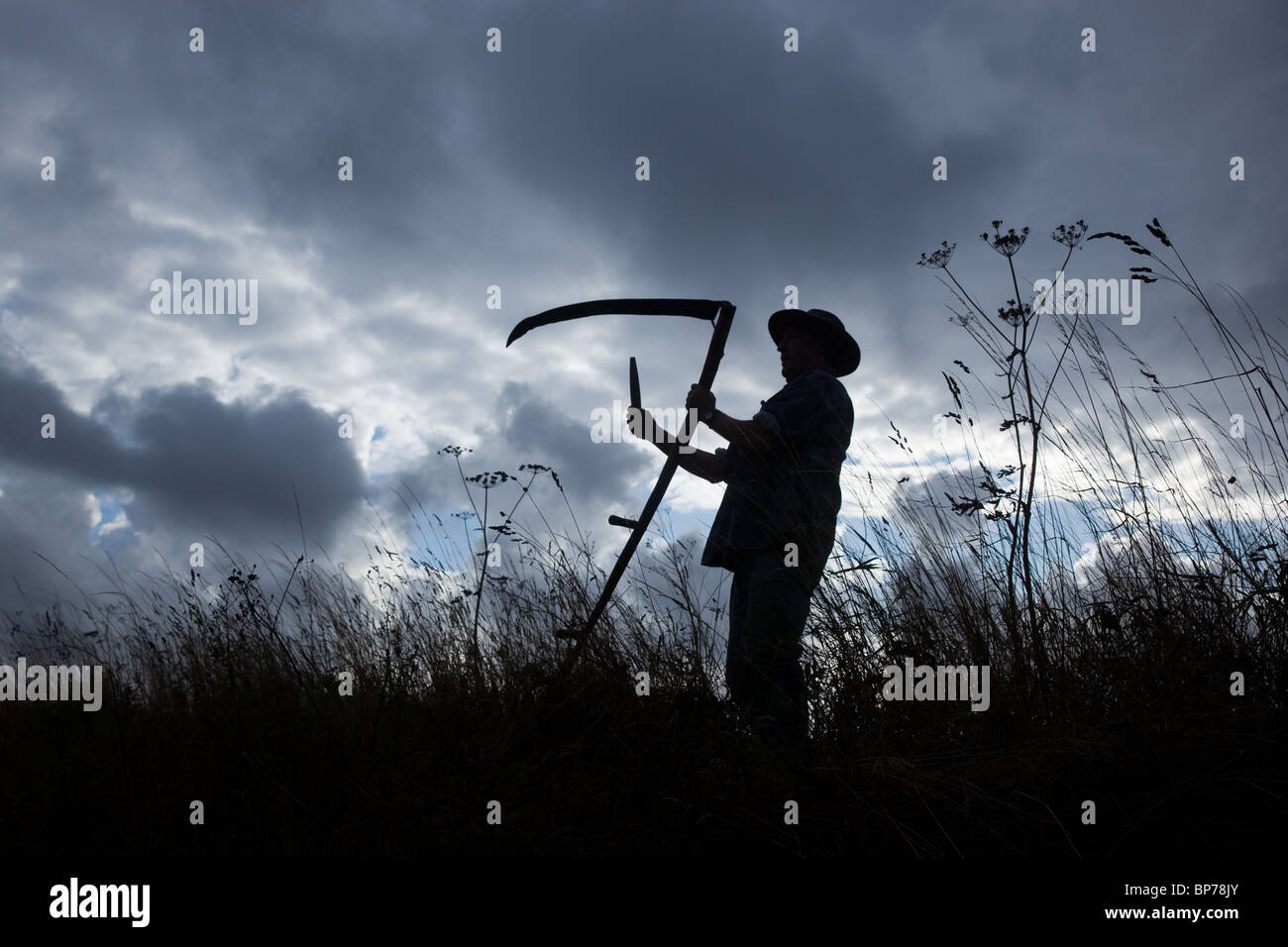 Ein Landwirt schneiden lange Gräser auf traditionelle Weise mit einer Sense Stockfoto