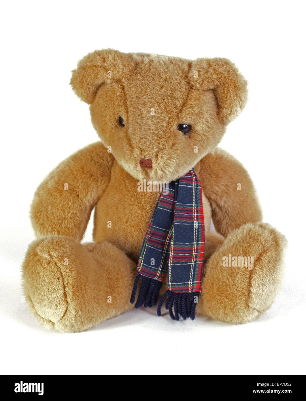 Teddybär mit einem Tartan-Schal auf einem weißen Hintergrund. Stockfoto