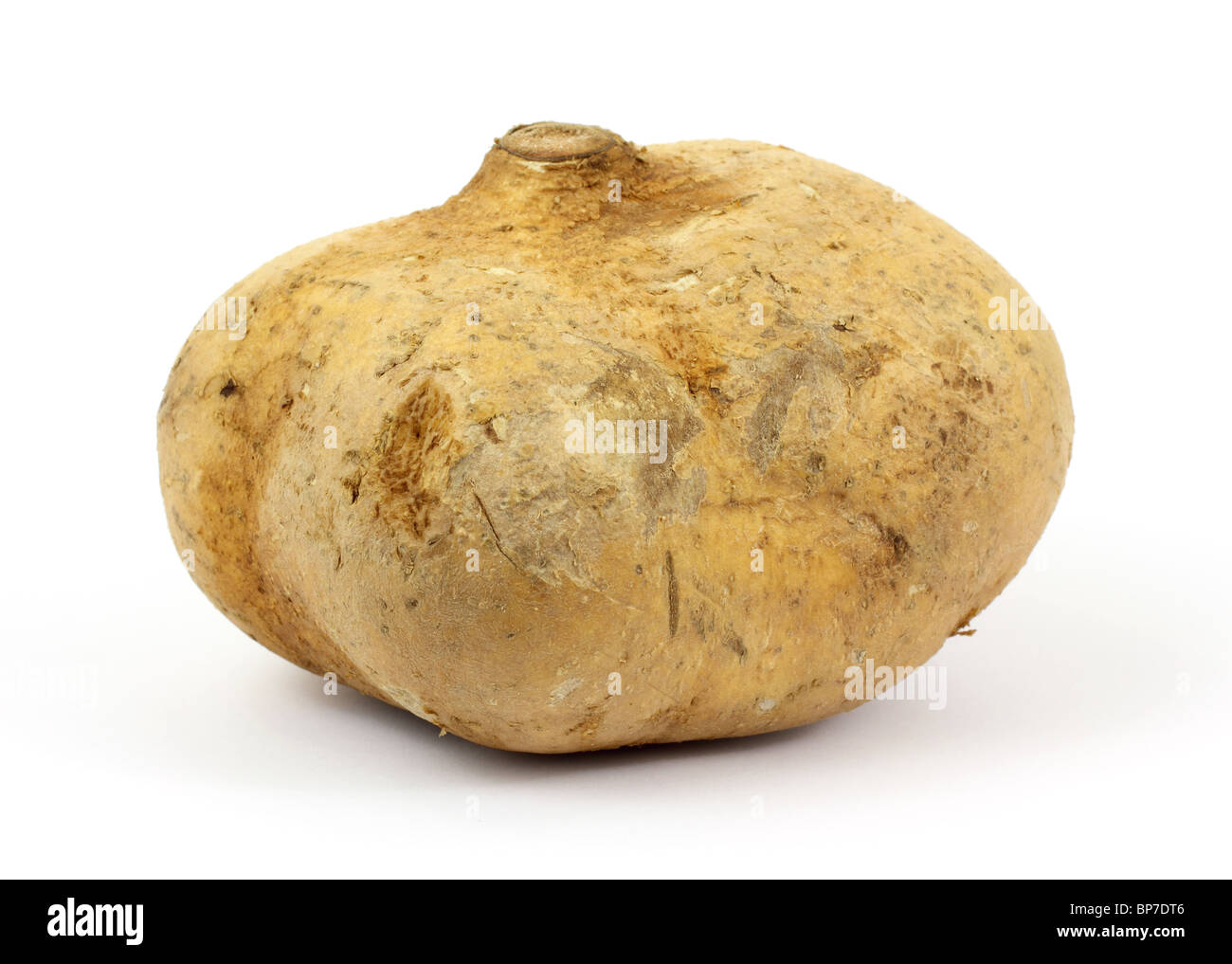 Jicama Wurzelgemüse Stockfoto