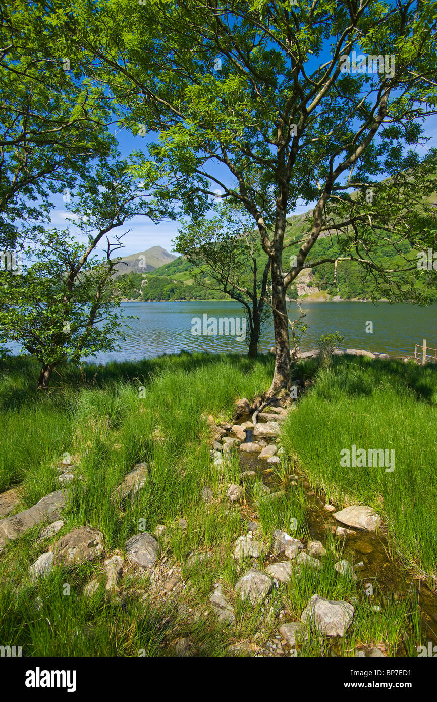 Llyn Gwynant See, Merionethshire, Snowdonia, North Wales, UK Stockfoto