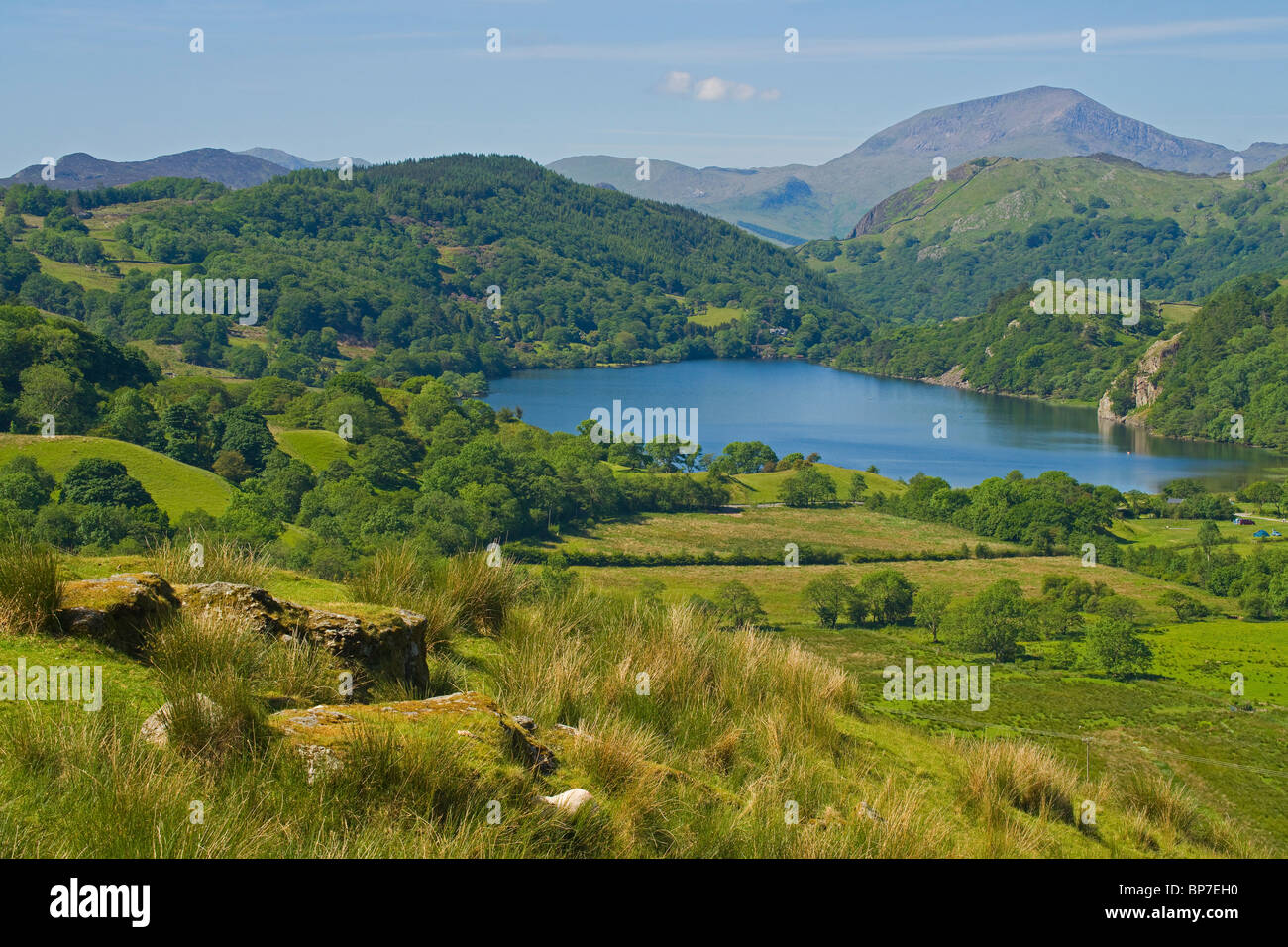 Llyn Gwynant See, Merionethshire, Snowdonia, North Wales, UK Stockfoto