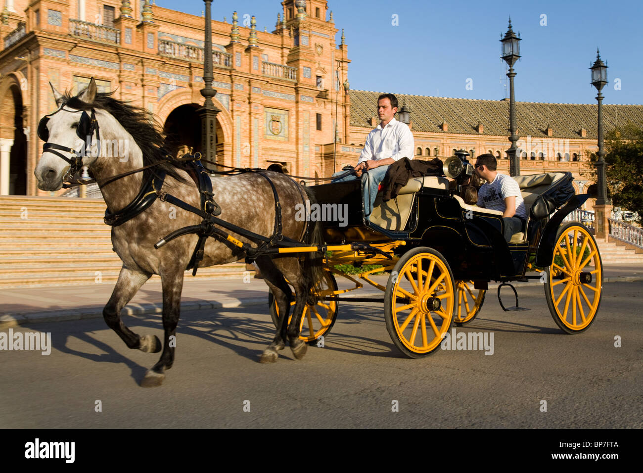 Traber ziehen Schlitten und Touristen um die Vorderseite des Sevilla ist der Plaza de España de Sevilla. Sevilla, Spanien. Stockfoto