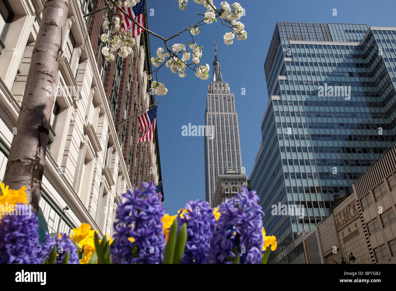 Frühlingsblumen bei Macy's in der Nähe von Empire State Building, New York Stockfoto