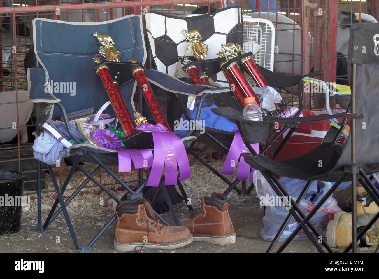 Preisträger-Trophäen und Bänder von Kirmes Stockfoto