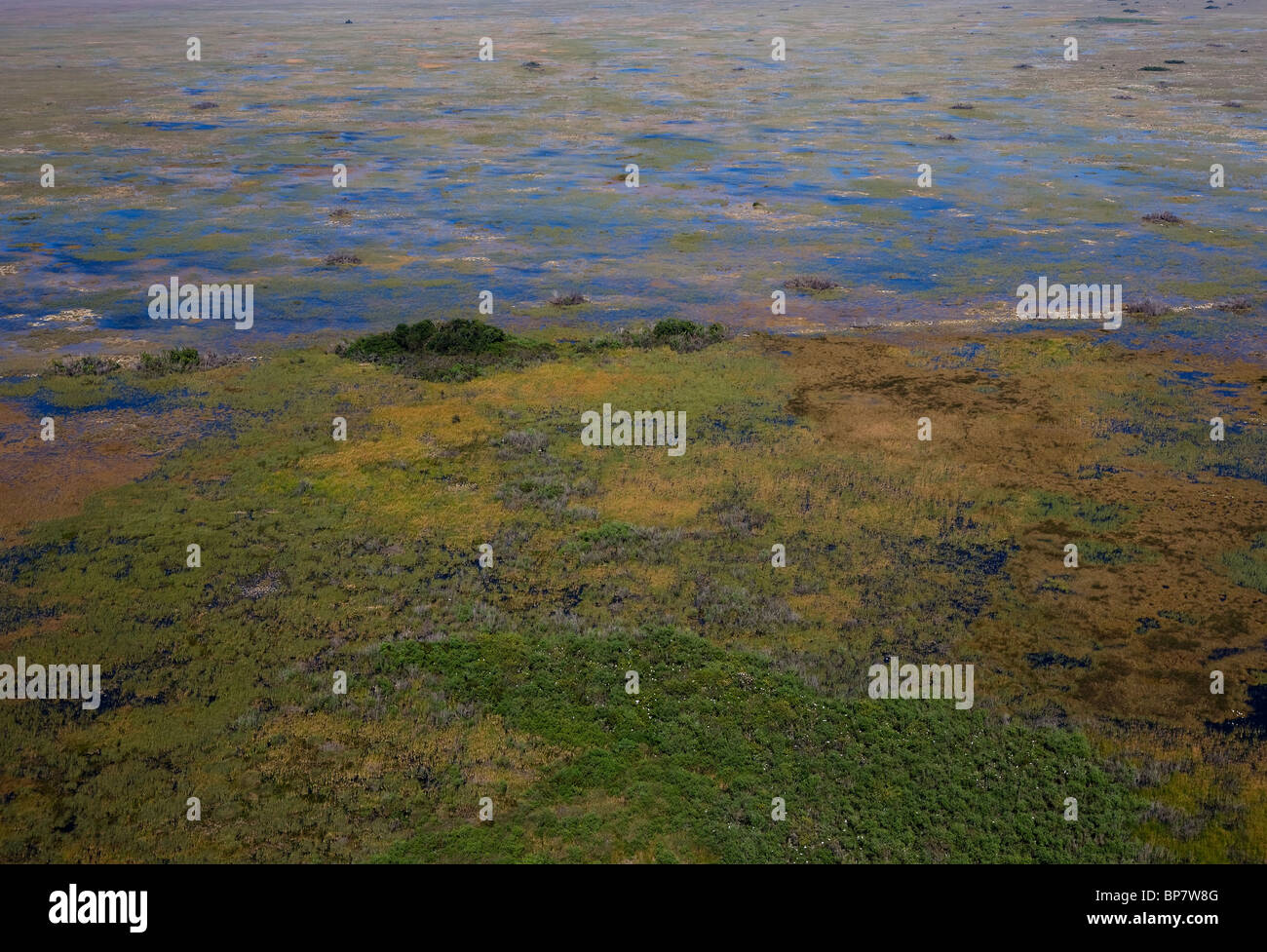 Luftaufnahme über Feuchtgebiete Everglades Florida Stockfoto