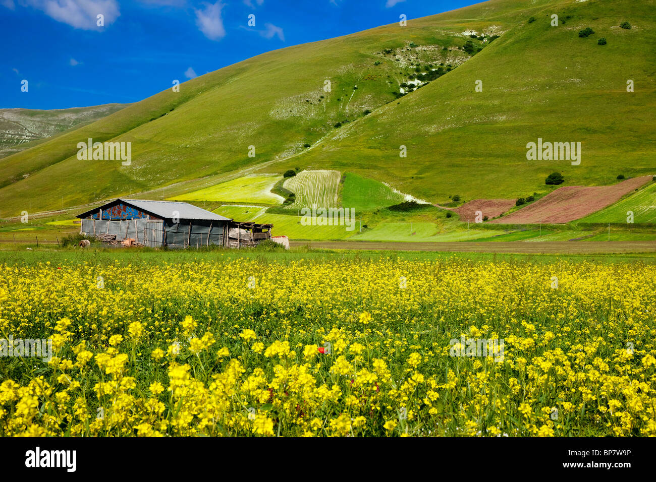 Klavier mit blumen Fotos und Bildmaterial in hoher Auflösung Alamy