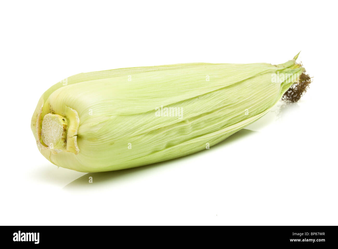 Mais auf der Cob-Schale aus niedrigen Perspektive auf weißen Hintergrund isoliert. Stockfoto