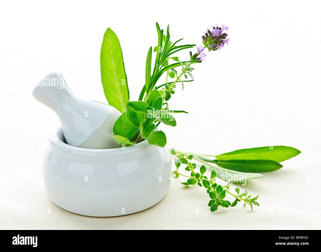 Heilkräuter in weißer Keramik Mörser und Stößel Stockfoto