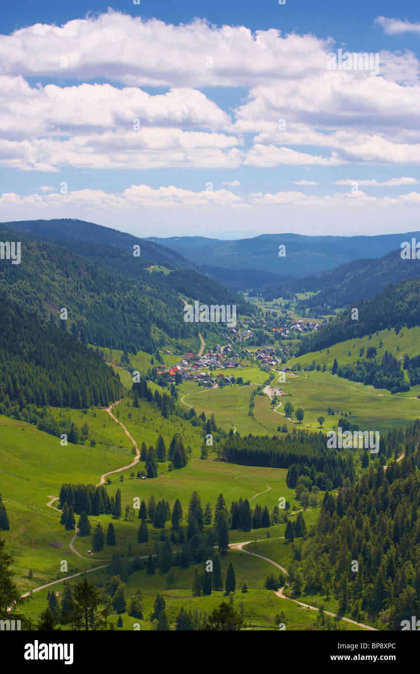 Blick auf Menzenschwand im Tal des Flusses Alb, Sommertag, Schwarzwald, Baden-Württemberg, Deutschland, Europa Stockfoto