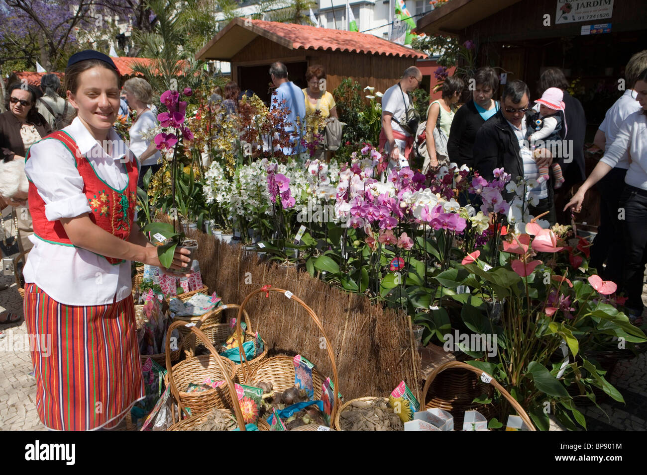 Blume Stand auf Madeira Blume Festival, Funchal, Madeira, Portugal Stockfoto