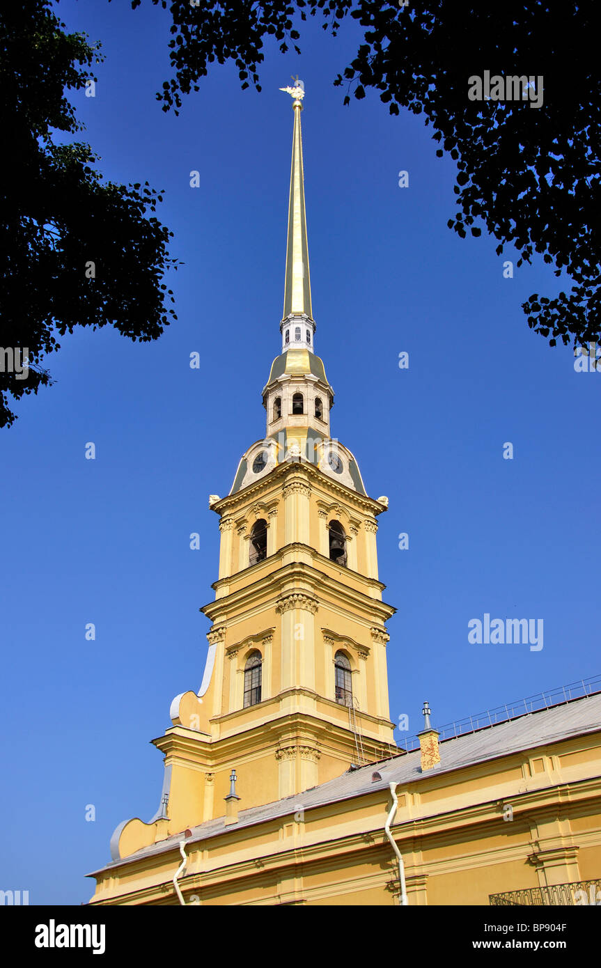 Der Glockenturm der Kathedrale St. Peter und Paul, Zayachy Insel, Sankt Petersburg, nordwestlichen Region, Russland Stockfoto