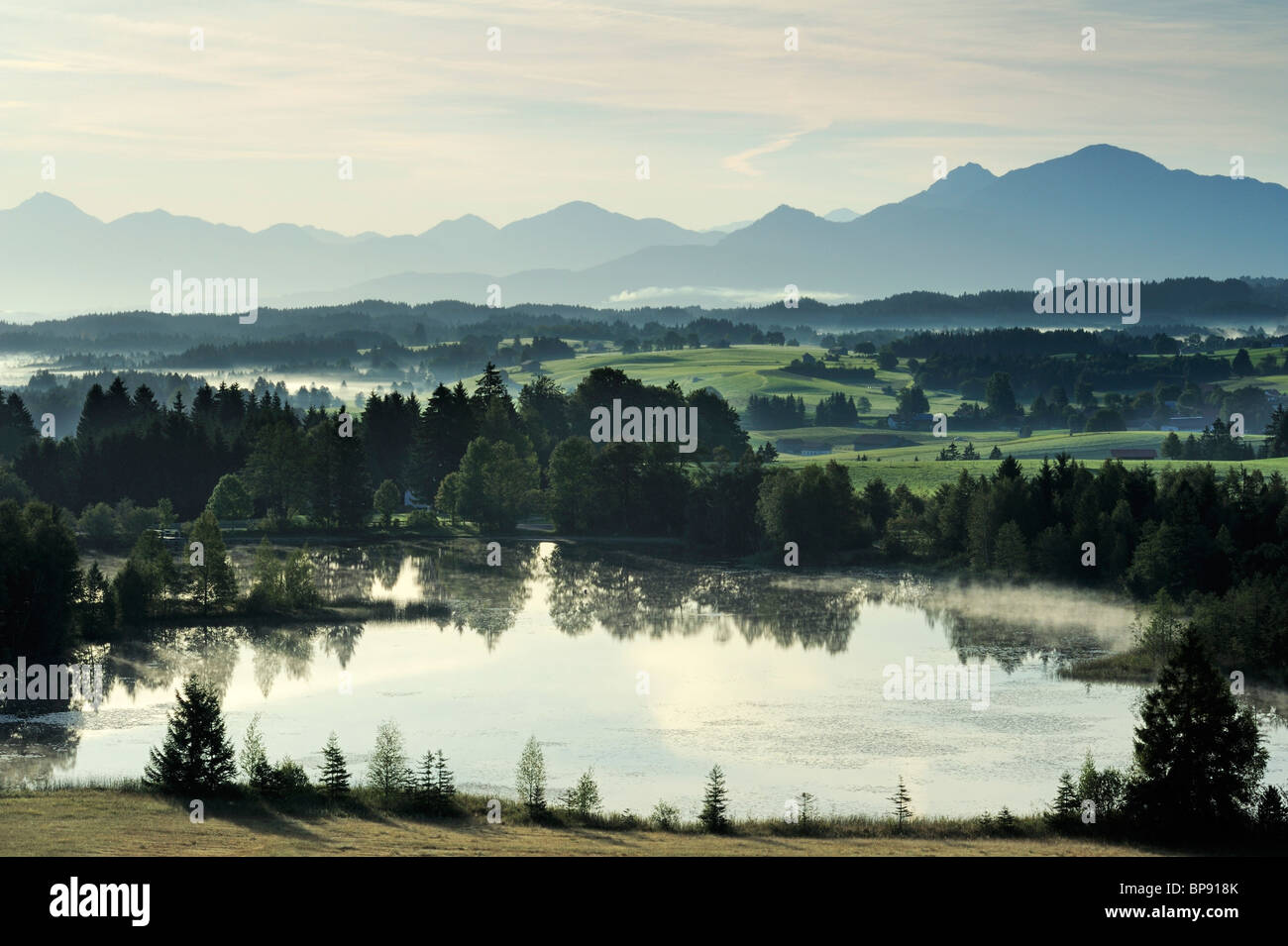 Lake Schwaigsee mit Ammergauer Alpen im Hintergrund, Upper Bavaria, Bavaria, Germany Stockfoto