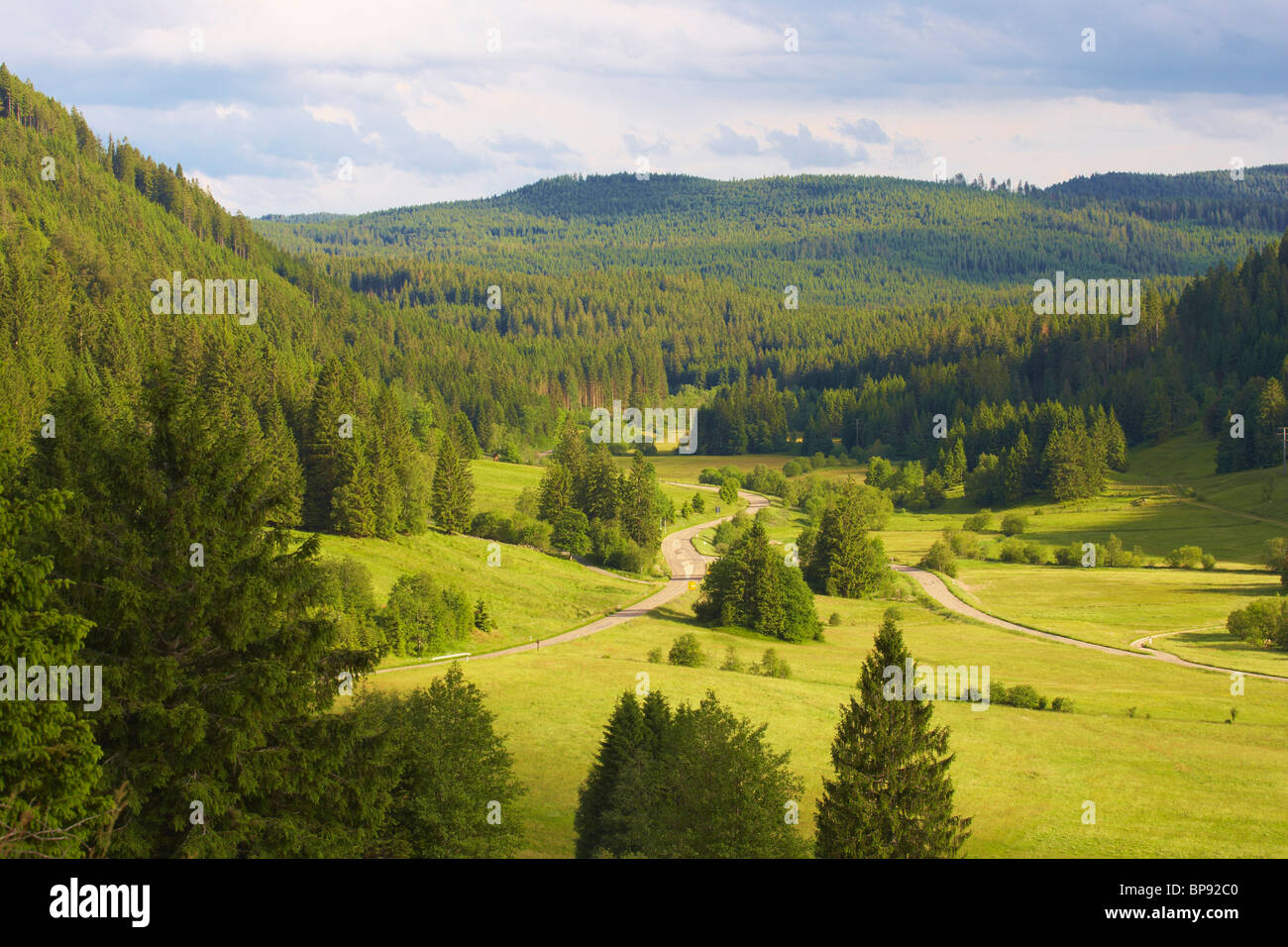 Tal des Flusses Alb in der Nähe von Menzenschwand, Sommertag, Schwarzwald, Baden-Württemberg, Deutschland, Europa Stockfoto