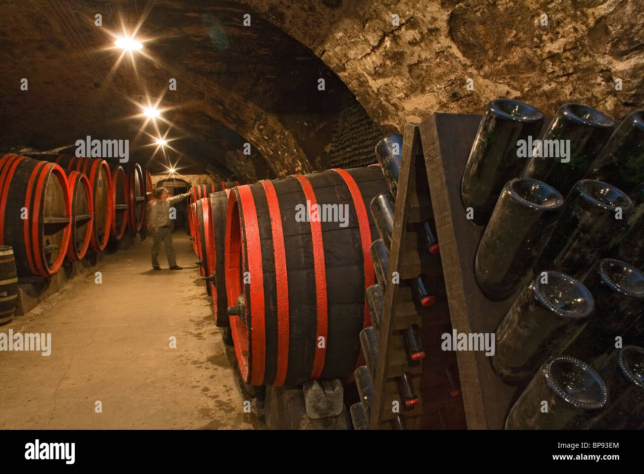 Fässer mit Sekt, Champagner, Speicher, im Keller, Schloss Landestrost, Neustadt bin Ruebenberge, Niedersachsen, Deutschland Stockfoto