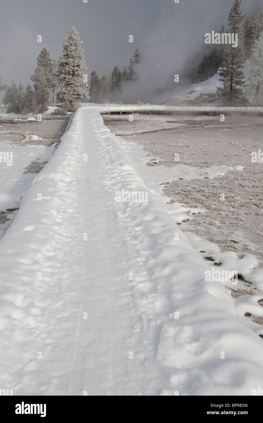 USA, Wyoming. Yellowstone-Nationalpark, Upper Geyser Basin. Old Faithful Trail im Winter. Stockfoto