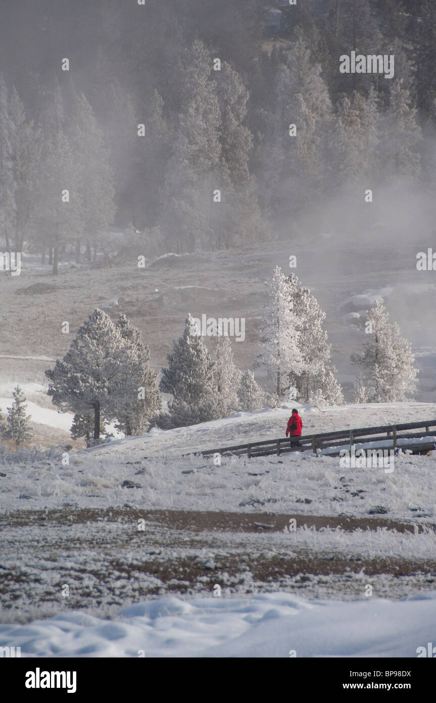 USA, Wyoming. Yellowstone-Nationalpark, Upper Geyser Basin. Wanderer im Old Faithful-Trail-Bereich. Stockfoto