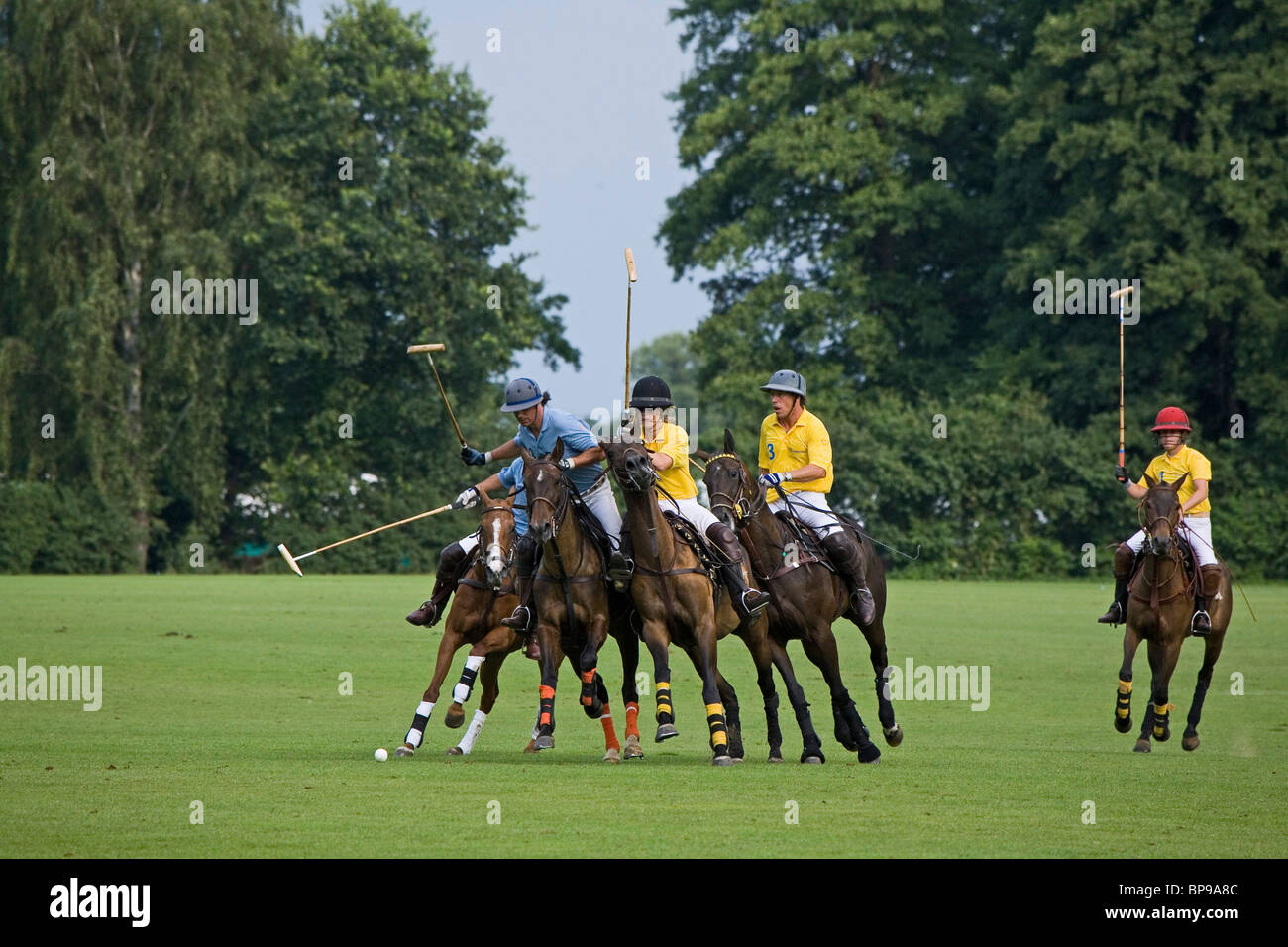 Polo-Spiel, Pferd, Maspe, Niedersachsen, Deutschland Stockfoto