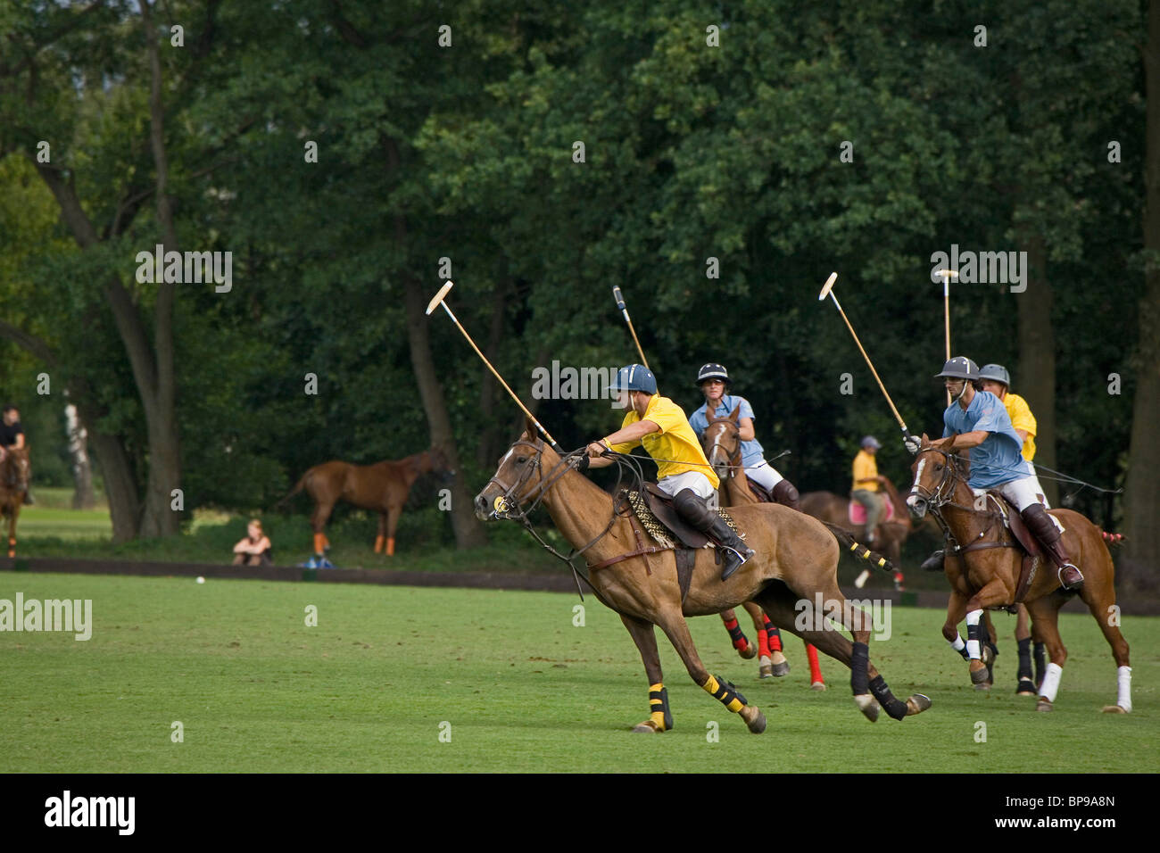 Polo-Spiel, Pferd, Maspe, Niedersachsen, Deutschland Stockfoto