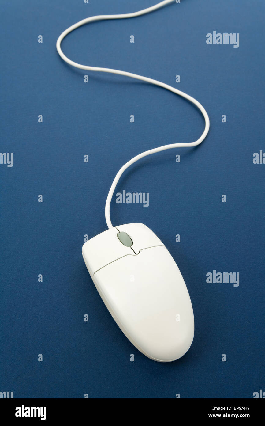 Computer-Maus mit blauem Hintergrund Stockfoto