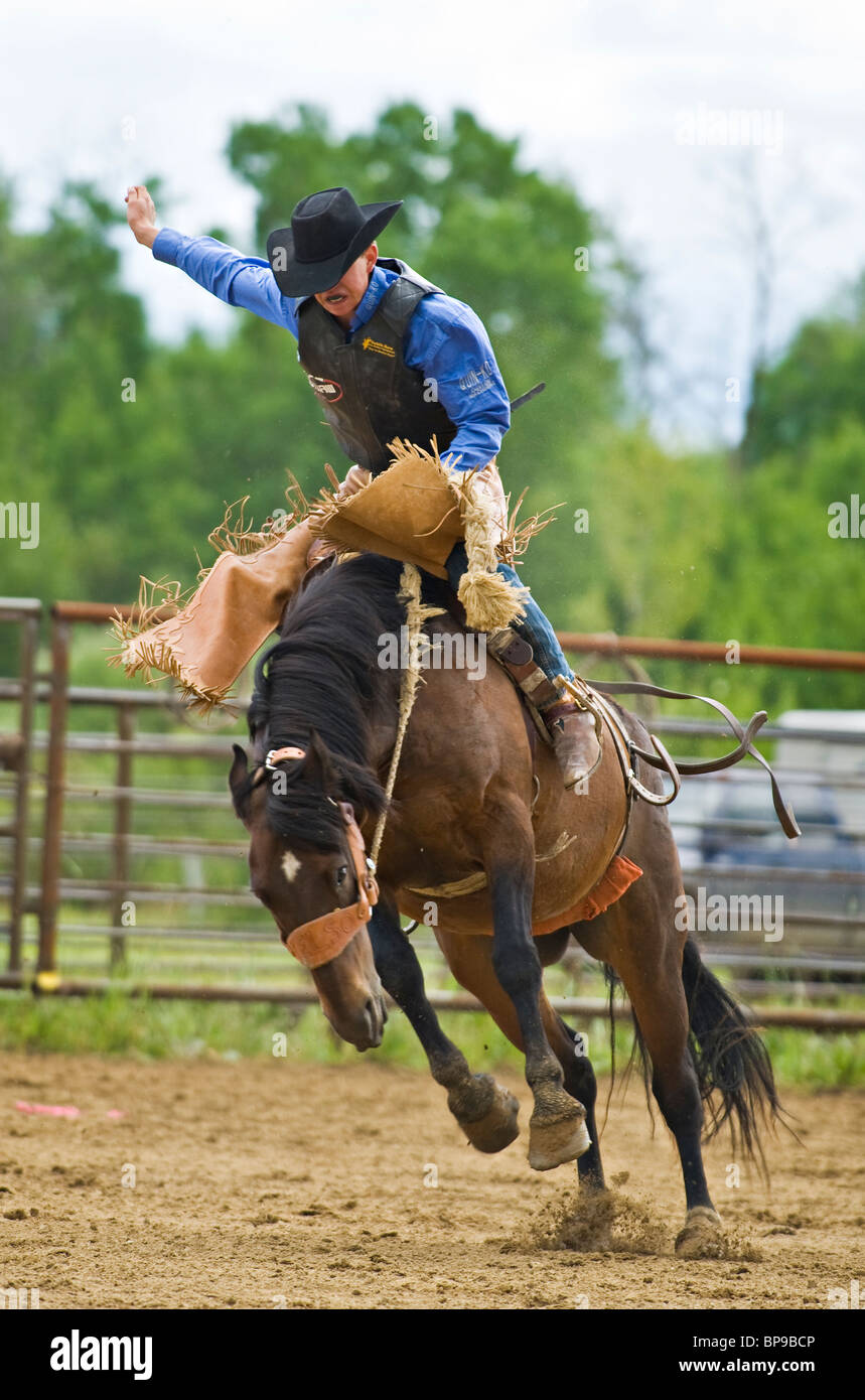 Ein unruhiges Pferd und cowboy Stockfoto