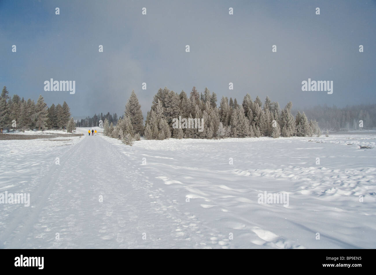 USA, Wyoming. Yellowstone-Nationalpark, Touristen auf den Old Faithful Geysir Trail im Winter. Stockfoto