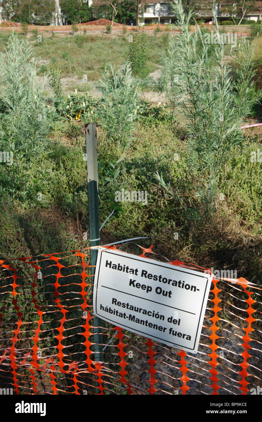 Wiederherstellung von Lebensräumen. Umzäunten Lebensraum Restaurierung Gegend in einem Park in Irvine, Orange County, Kalifornien. Foto Juli 2010. Stockfoto