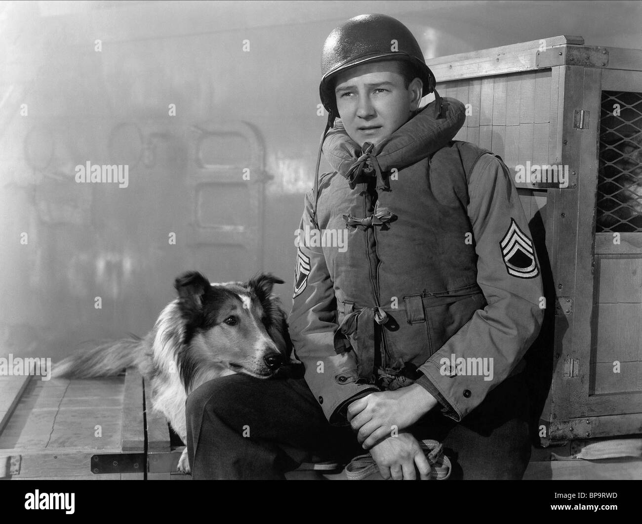 LASSIE, TOM DRAKE, MUT VON LASSIE, 1946 Stockfoto