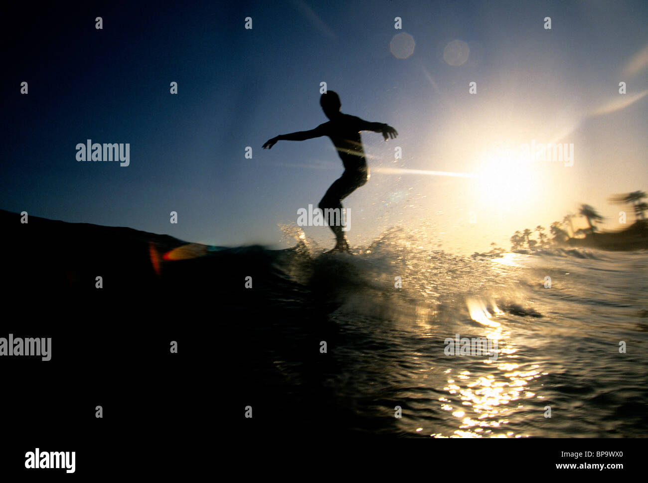 Männliche Surfer hängt fünf Surfen bei Sonnenuntergang, C-Straße Ventura, Kalifornien USA. Stockfoto