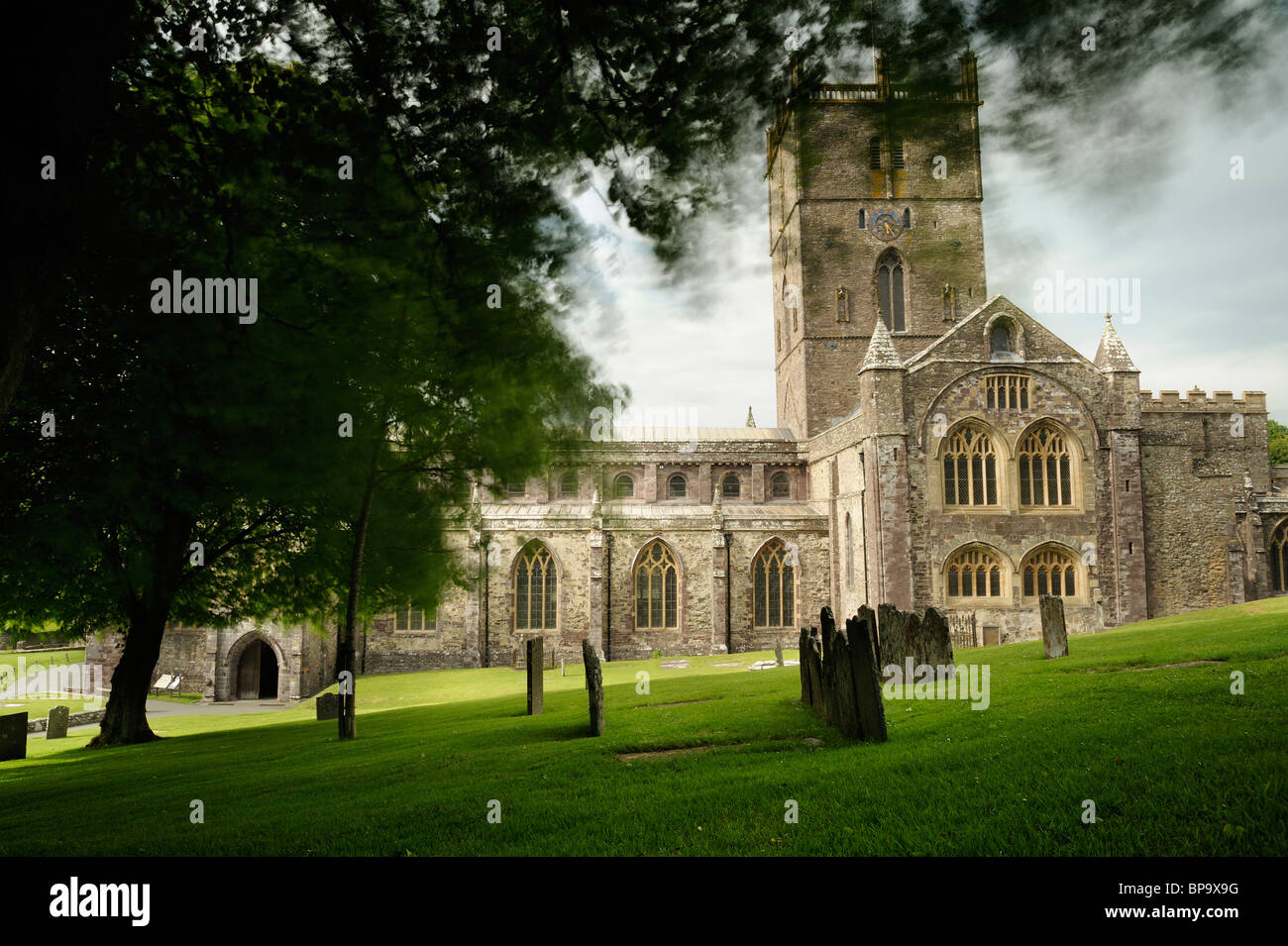 Str. Davids Kathedrale, Pembrokeshire, unter den Bögen der Bäume auf dem Gelände abgebildet. Stockfoto