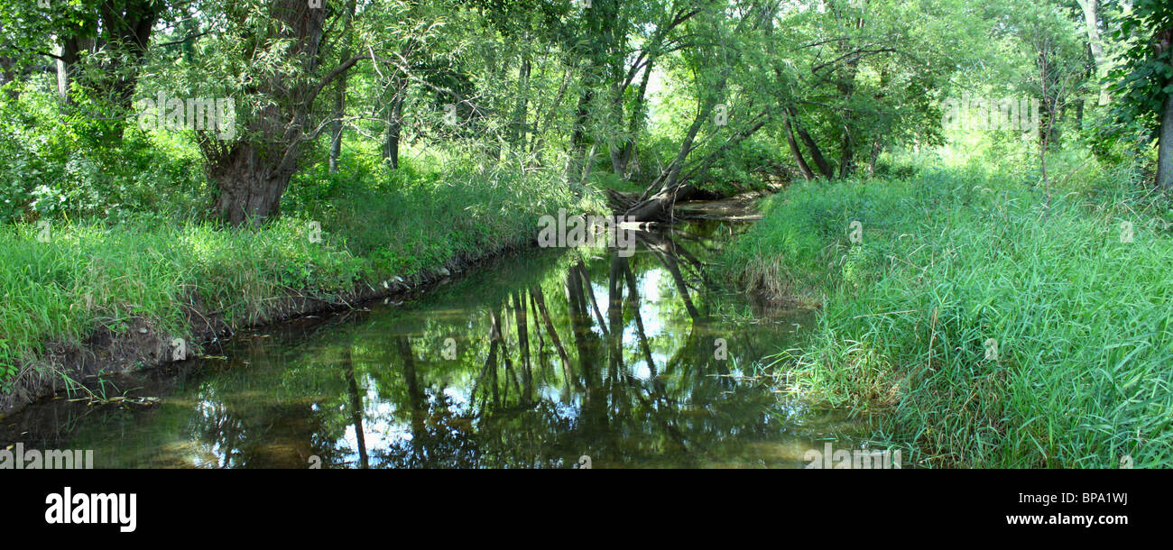 Hübsche Creek Szene in Illinois Stockfoto