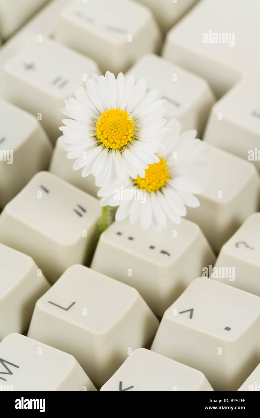 Computer-Tastatur und Blume, Cyberspace Freiheitsbegriff Stockfoto