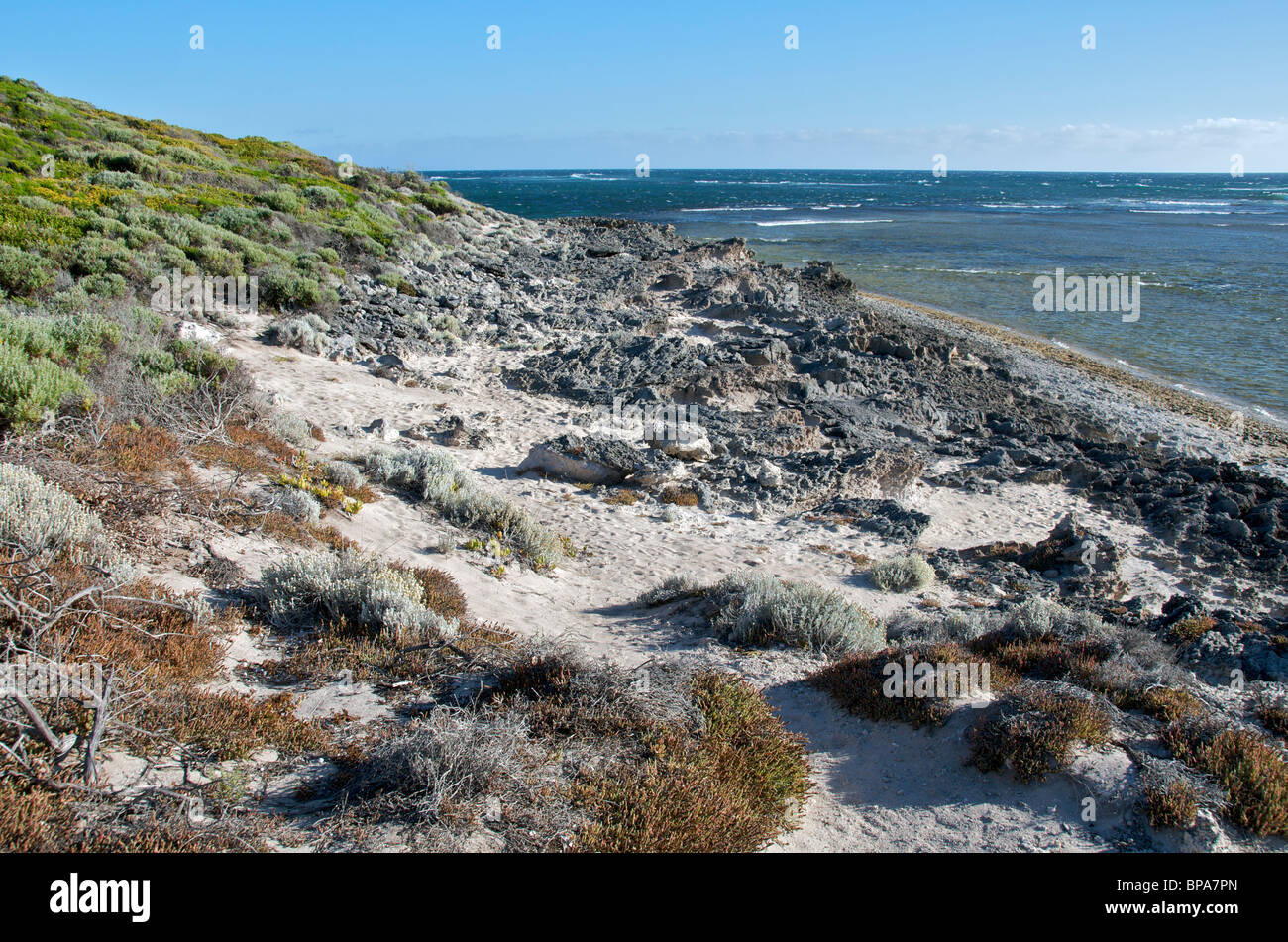 Felsenküste Prevelly Margaret River Western Australia Stockfoto