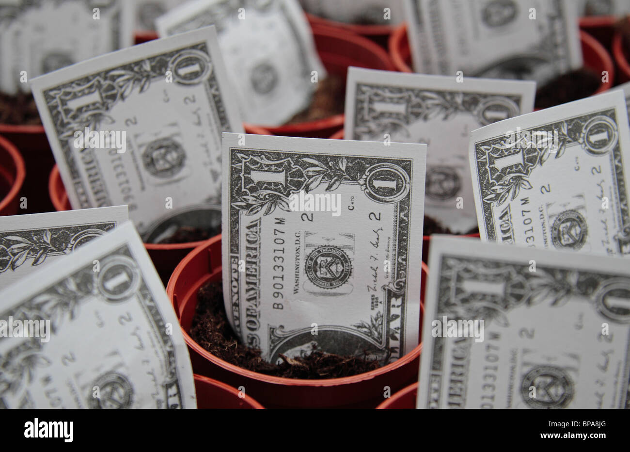 Spielzeug US $1-Dollar-Noten in Blumentöpfe ' wachsen'. Stockfoto
