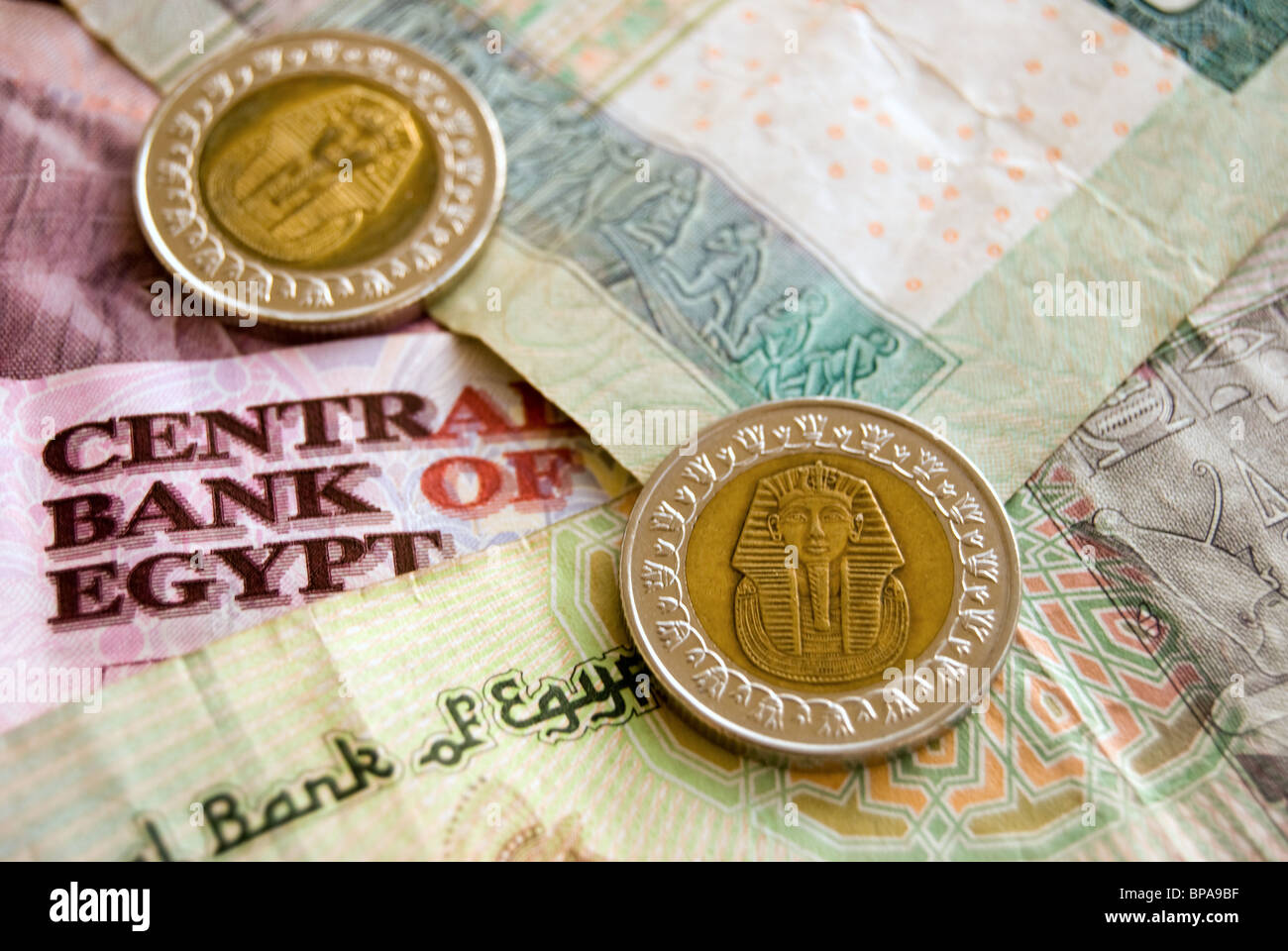 Wie Viel Sind 100 ägyptische Pfund In Euro Ägyptische Pfund Stockfotos und -bilder Kaufen - Alamy