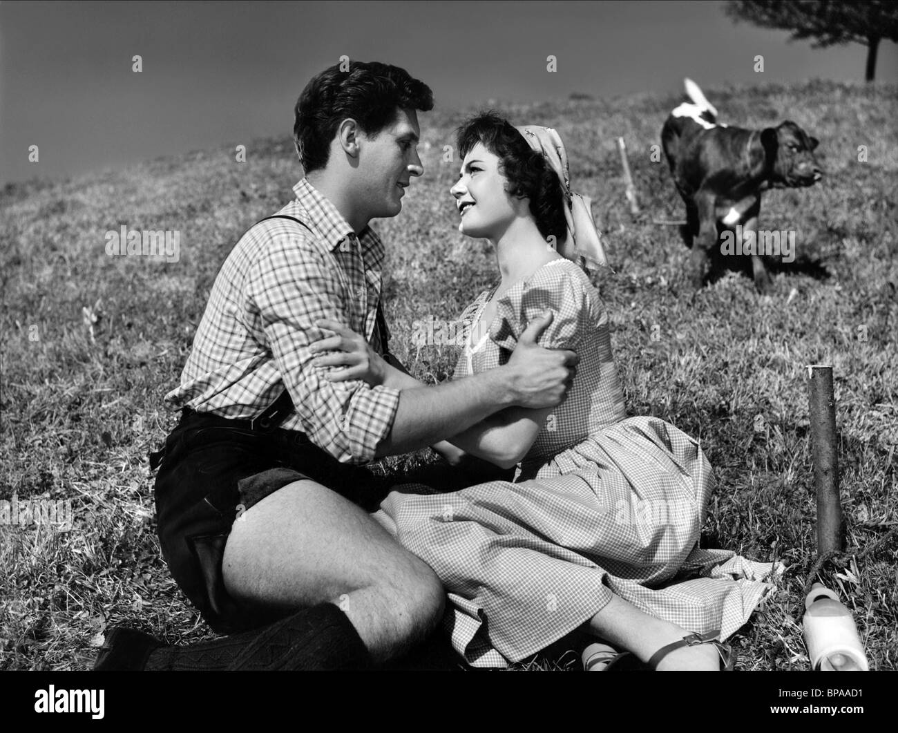 Die Lerche Schwarzweiss Stockfotos Und Bilder Alamy