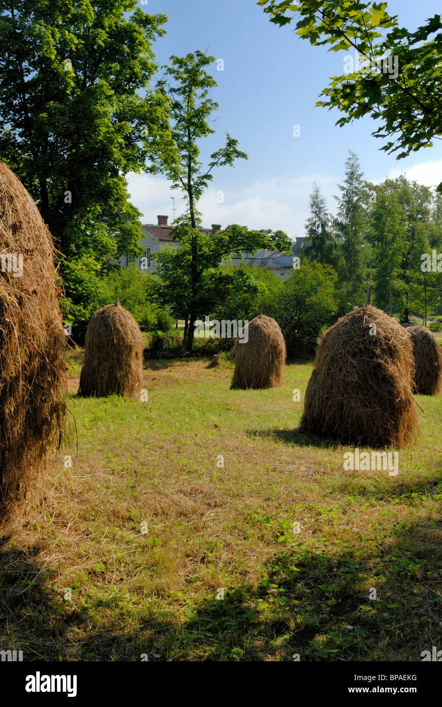 Heuhaufen in der alten Stadt von Helsinki. Heuhaufen sind gut erinnern an die ländlichen Jahrhunderte in der Geschichte von Helsinki. Helsinki, Finnland Stockfoto