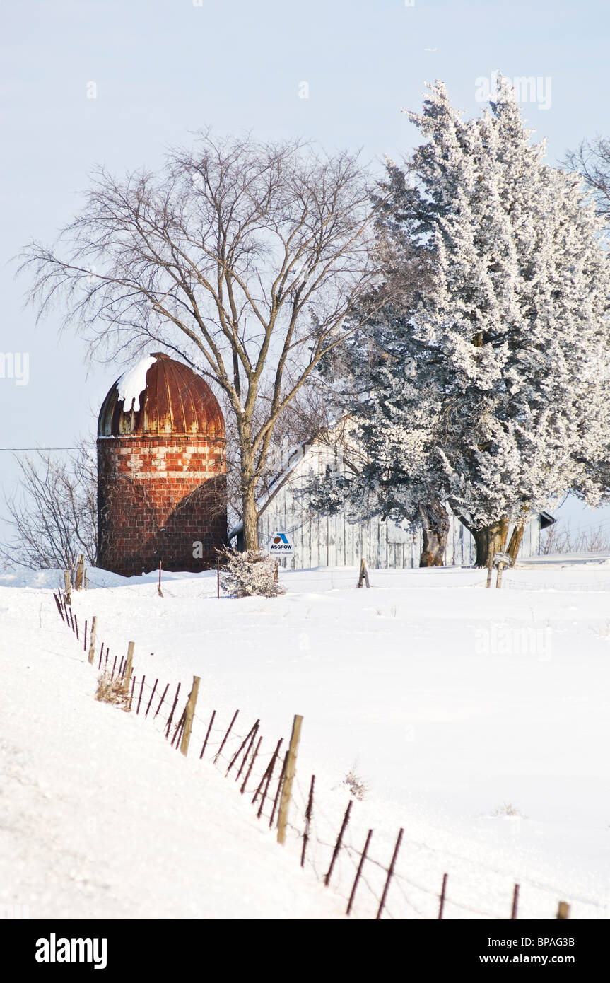 Raureif bedeckt die Bäume auf einer ländlichen Minnesota Bauernhof Szene im Winter. Stockfoto