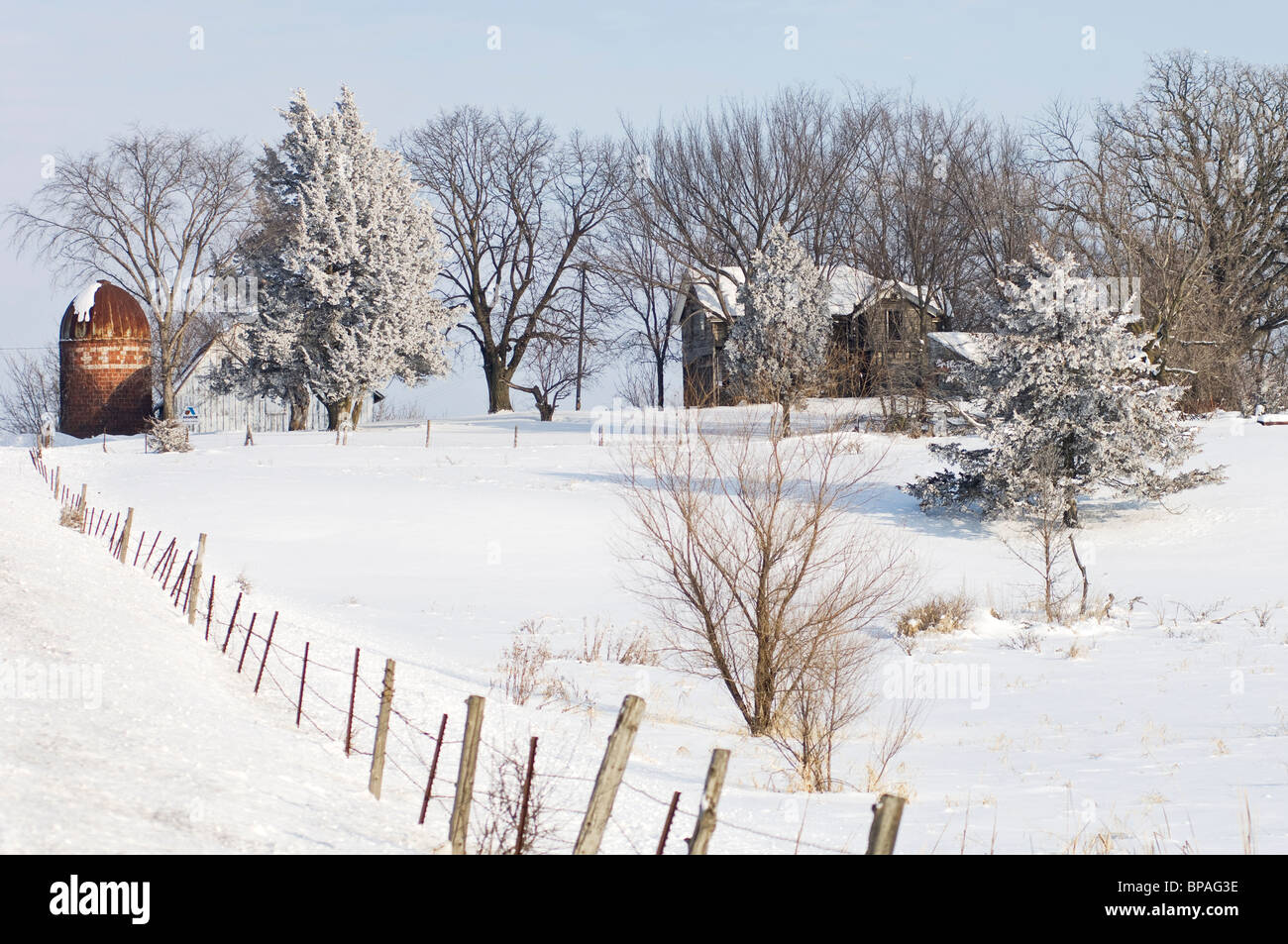 Raureif bedeckt die Bäume auf einer ländlichen Minnesota Bauernhof Szene im Winter. Stockfoto