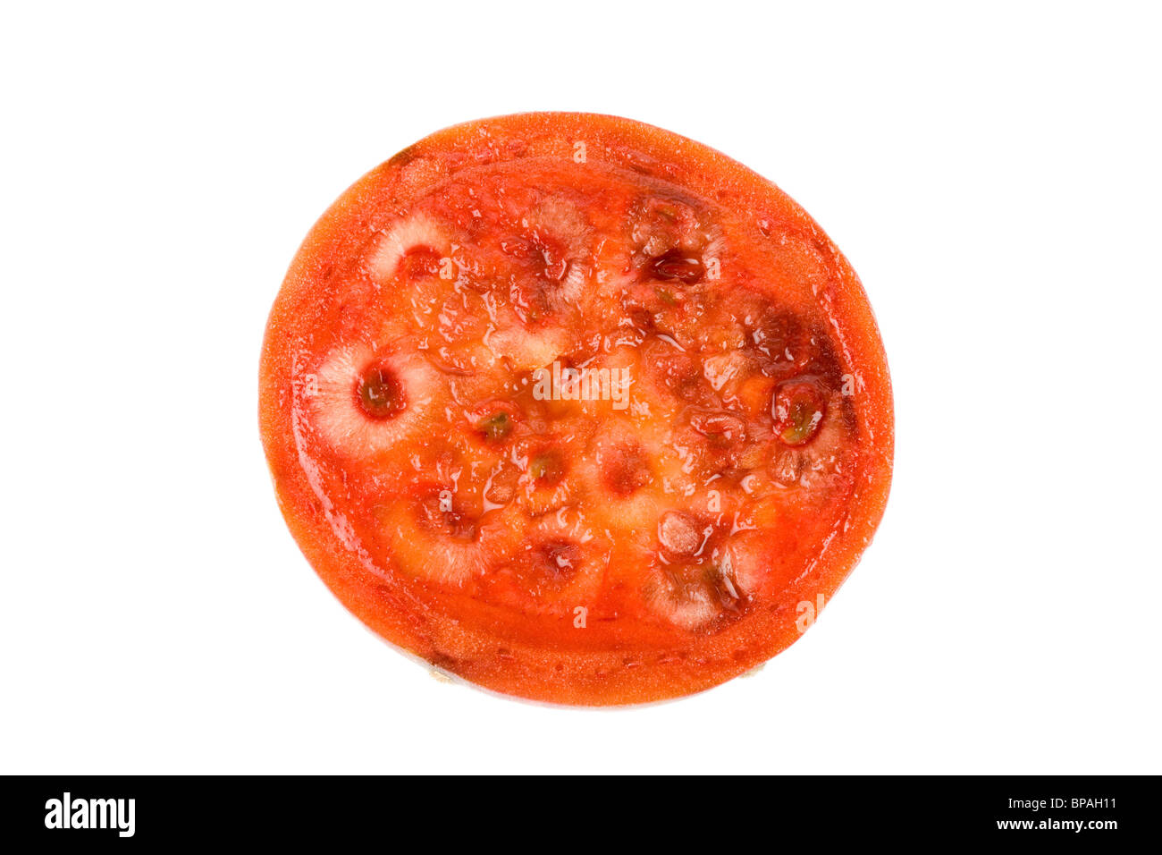 Kaktus Frucht mit weißem Hintergrund Stockfoto