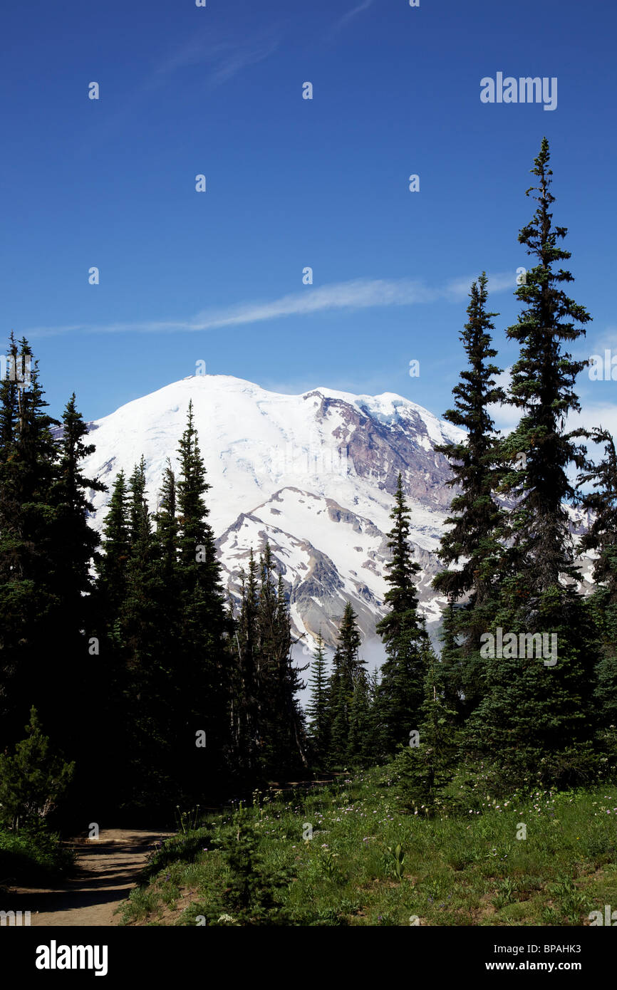 Mount Rainier, Washington Stockfoto