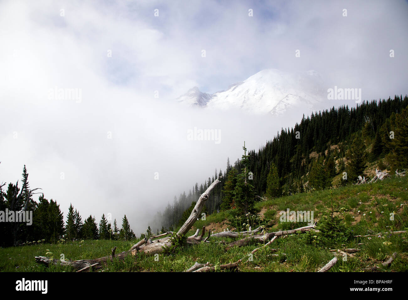 Mt Rainier durch die Wolken. Mount Ranier National Park, Washington. Stockfoto